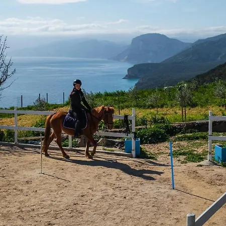 Ghivine Diffuso 3*