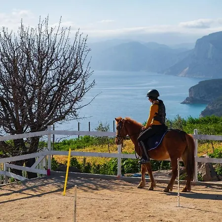 Ghivine Diffuso 3* Dorgali