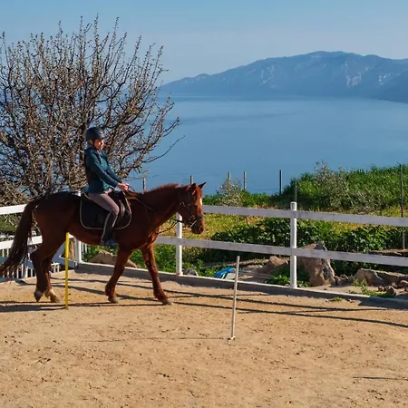 Ghivine Diffuso Dorgali