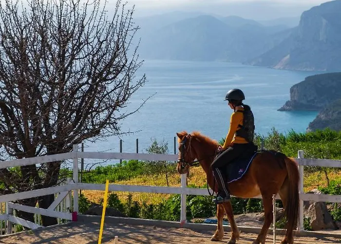 Ghivine Diffuso 3* Dorgali